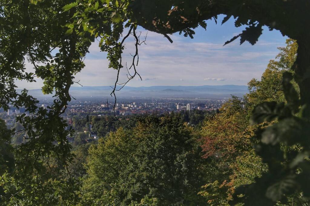 Wohnen Im Gruenen Apartment Graz Bagian luar foto